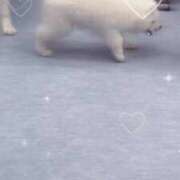 ヒメ日記 2025/03/04 21:23 投稿 るい ぽちゃかわ専門店　ぽちゃぽちゃイケてる