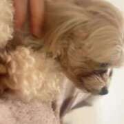 ヒメ日記 2025/03/18 09:25 投稿 るい ぽちゃかわ専門店　ぽちゃぽちゃイケてる