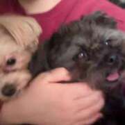 ヒメ日記 2025/04/30 06:52 投稿 るい ぽちゃかわ専門店　ぽちゃぽちゃイケてる