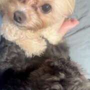 ヒメ日記 2025/05/30 22:54 投稿 るい ぽちゃかわ専門店　ぽちゃぽちゃイケてる