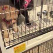 ヒメ日記 2025/06/04 18:04 投稿 るい ぽちゃかわ専門店　ぽちゃぽちゃイケてる