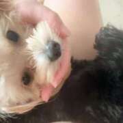 ヒメ日記 2025/06/11 17:44 投稿 るい ぽちゃかわ専門店　ぽちゃぽちゃイケてる