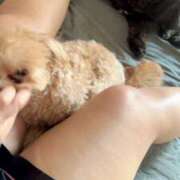 ヒメ日記 2025/06/18 17:24 投稿 るい ぽちゃかわ専門店　ぽちゃぽちゃイケてる