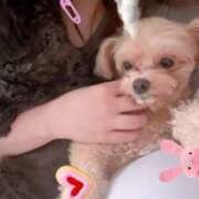 ヒメ日記 2025/07/08 09:15 投稿 るい ぽちゃかわ専門店　ぽちゃぽちゃイケてる