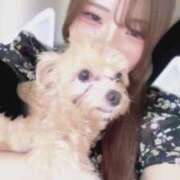 ヒメ日記 2025/09/24 17:42 投稿 るい ぽちゃかわ専門店　ぽちゃぽちゃイケてる