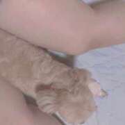 ヒメ日記 2025/09/25 16:22 投稿 るい ぽちゃかわ専門店　ぽちゃぽちゃイケてる