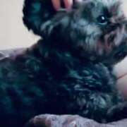 ヒメ日記 2025/10/14 11:51 投稿 るい ぽちゃかわ専門店　ぽちゃぽちゃイケてる