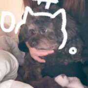 ヒメ日記 2025/11/11 09:23 投稿 るい ぽちゃかわ専門店　ぽちゃぽちゃイケてる