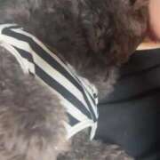 ヒメ日記 2025/12/16 11:31 投稿 るい ぽちゃかわ専門店　ぽちゃぽちゃイケてる