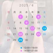 ヒメ日記 2025/03/25 13:24 投稿 南瀬　ゆいな シェルクラブ・ウエスト