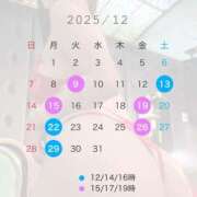 ヒメ日記 2025/11/23 09:30 投稿 南瀬　ゆいな シェルクラブ・ウエスト