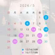 ヒメ日記 2026/04/24 13:31 投稿 南瀬　ゆいな シェルクラブ・ウエスト