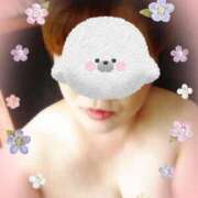 ヒメ日記 2024/12/17 01:15 投稿 ゆず 人妻美人館