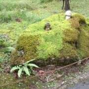 ヒメ日記 2024/12/18 08:41 投稿 ゆず 人妻美人館