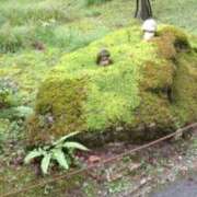 ヒメ日記 2024/12/18 08:57 投稿 ゆず 人妻美人館