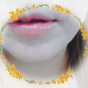 ヒメ日記 2024/12/19 11:02 投稿 ゆず 人妻美人館