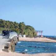 ヒメ日記 2024/12/20 08:14 投稿 ゆず 人妻美人館