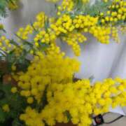 ヒメ日記 2025/03/17 07:00 投稿 ゆず 人妻美人館