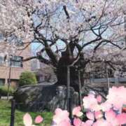 ヒメ日記 2025/04/18 18:59 投稿 ゆず 人妻美人館