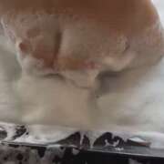 ヒメ日記 2025/05/10 09:50 投稿 ゆず 人妻美人館