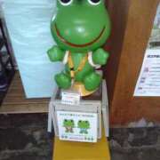 ヒメ日記 2025/05/13 12:50 投稿 ゆず 人妻美人館