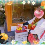 ヒメ日記 2025/06/28 07:53 投稿 ゆず 人妻美人館