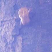 ヒメ日記 2025/07/23 08:51 投稿 ゆず 人妻美人館