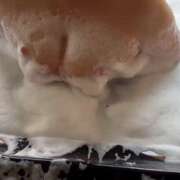 ヒメ日記 2025/09/20 08:38 投稿 ゆず 人妻美人館