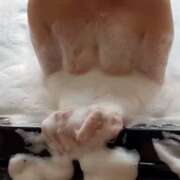 ヒメ日記 2025/12/14 17:17 投稿 ゆず 人妻美人館