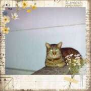 ヒメ日記 2026/01/16 07:16 投稿 ゆず 人妻美人館