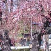 ゆず ショックな事 人妻美人館