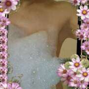 ヒメ日記 2025/05/08 12:44 投稿 渋谷 熟女の風俗最終章 横浜本店