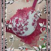 ヒメ日記 2026/04/04 13:29 投稿 渋谷 熟女の風俗最終章 横浜本店