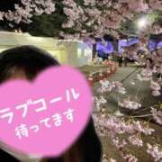 ヒメ日記 2026/04/03 20:26 投稿 みなせ 即プレイ専門店 性の極み