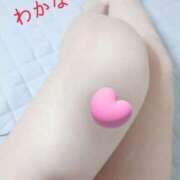 ヒメ日記 2025/02/28 01:43 投稿 わかな Club Paradise（クラブパラダイス）