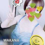 ヒメ日記 2025/04/07 18:23 投稿 わかな Club Paradise（クラブパラダイス）