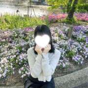 ヒメ日記 2025/04/26 00:32 投稿 あい ビギナーズ和歌山