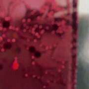 あい 動画です🎥🎅🏻🎄.* ビギナーズ和歌山