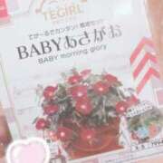 ヒメ日記 2025/07/31 11:23 投稿 あこ Felice(フェリス)