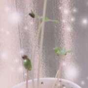 ヒメ日記 2025/08/05 11:30 投稿 あこ Felice(フェリス)