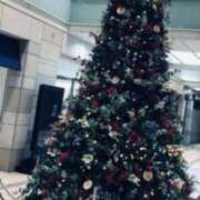 ヒメ日記 2025/11/20 09:26 投稿 あこ Felice(フェリス)