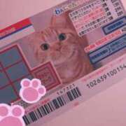 あこ 彡(-ω-；)彡 Felice(フェリス)