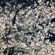 ヒメ日記 2026/04/07 11:29 投稿 あこ Felice(フェリス)