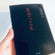 あこ ＿(　_ ´ω` )_ Felice(フェリス)