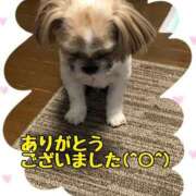 ヒメ日記 2025/07/31 21:03 投稿 みやび Beppin house