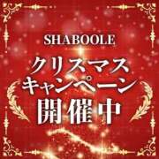 ヒメ日記 2024/12/24 22:32 投稿 しいな シャブール