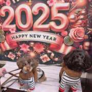 ヒメ日記 2025/01/12 17:03 投稿 しいな シャブール