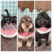 ヒメ日記 2025/01/21 15:06 投稿 しいな シャブール