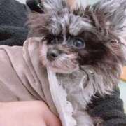 ヒメ日記 2025/02/18 17:31 投稿 しいな シャブール