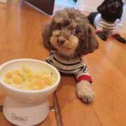 ヒメ日記 2025/02/25 18:35 投稿 しいな シャブール